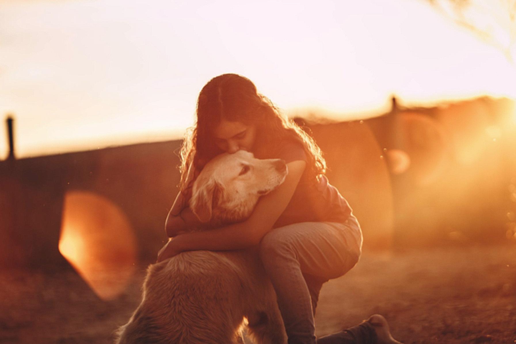 Pretty young female in casual wear cuddling and kissing golden retriever dog while standing on knee in street at sundown