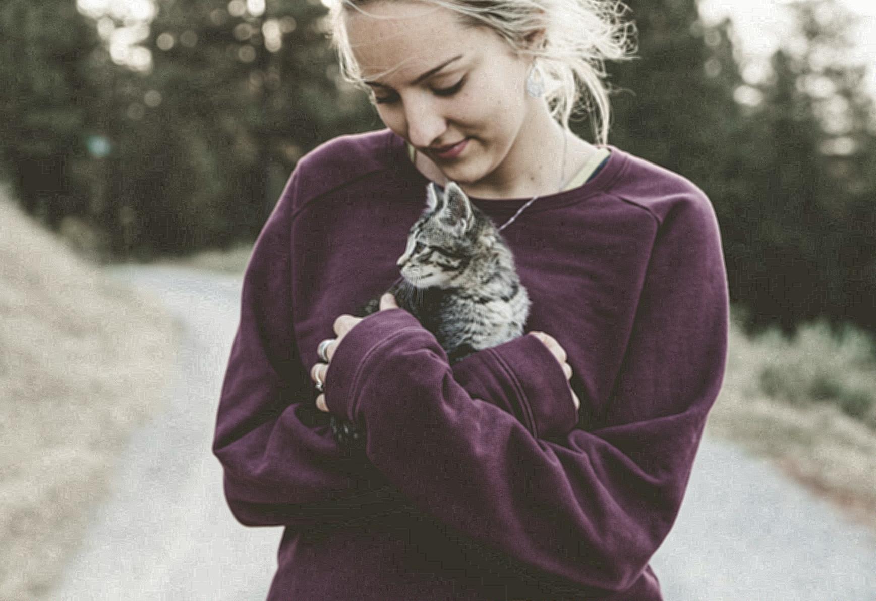 Selective Focus Photography of Woman Wearing Purple Sweater Holding Silver Tabby Cat