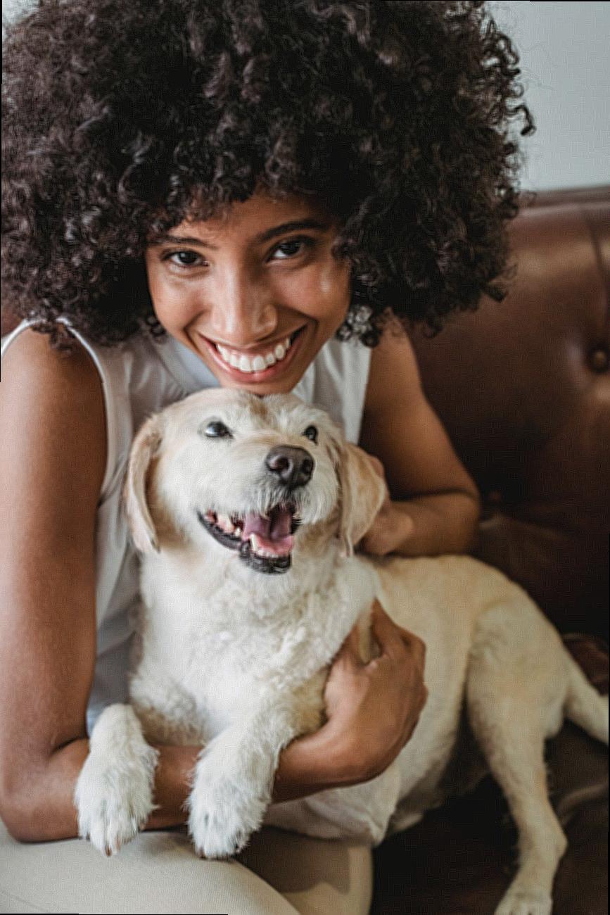 Cheerful African American charismatic female cuddling and hugging adorable dog while resting on sofa and looking at camera