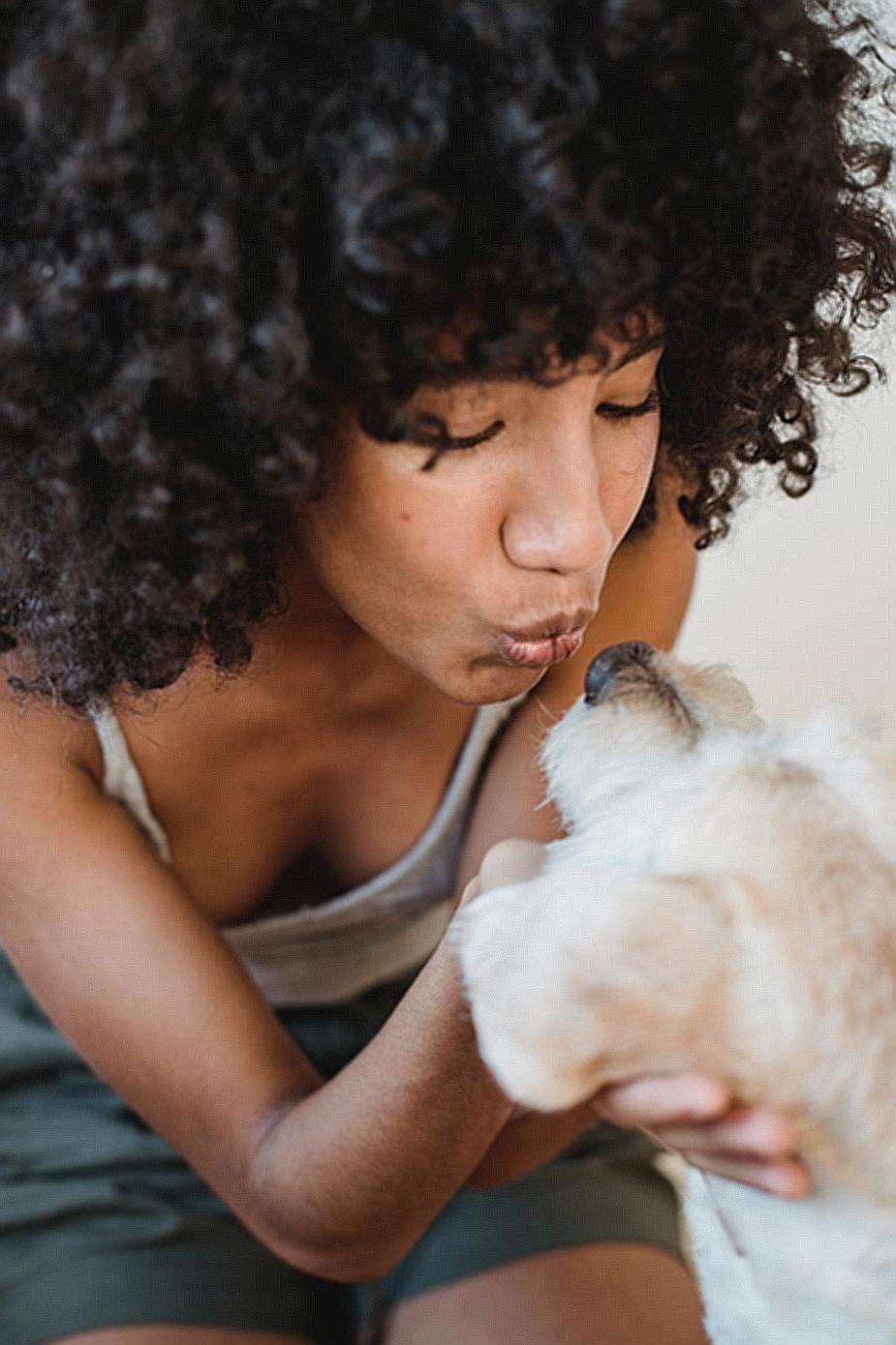 Charming African American female with curly hair caressing and kissing adorable puppy at home