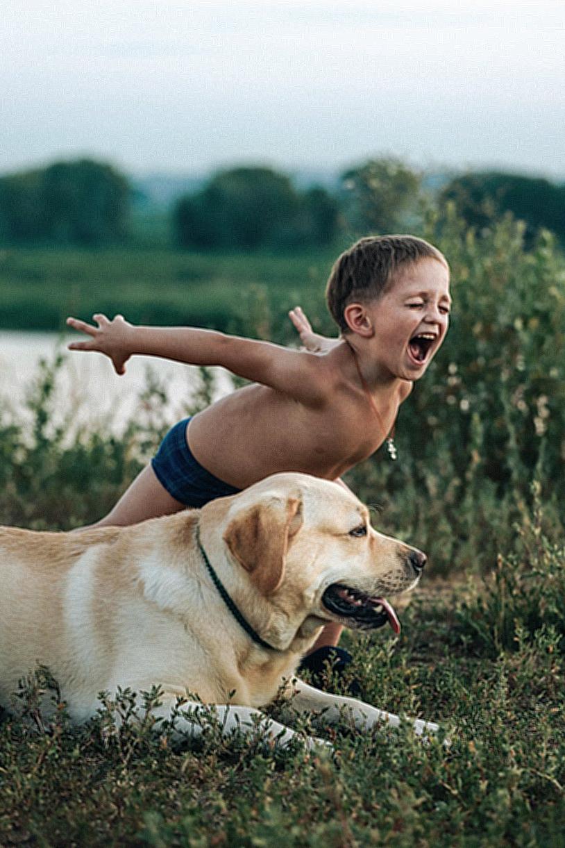 Little Boy Screaming and Labrador Dog Laying Outside