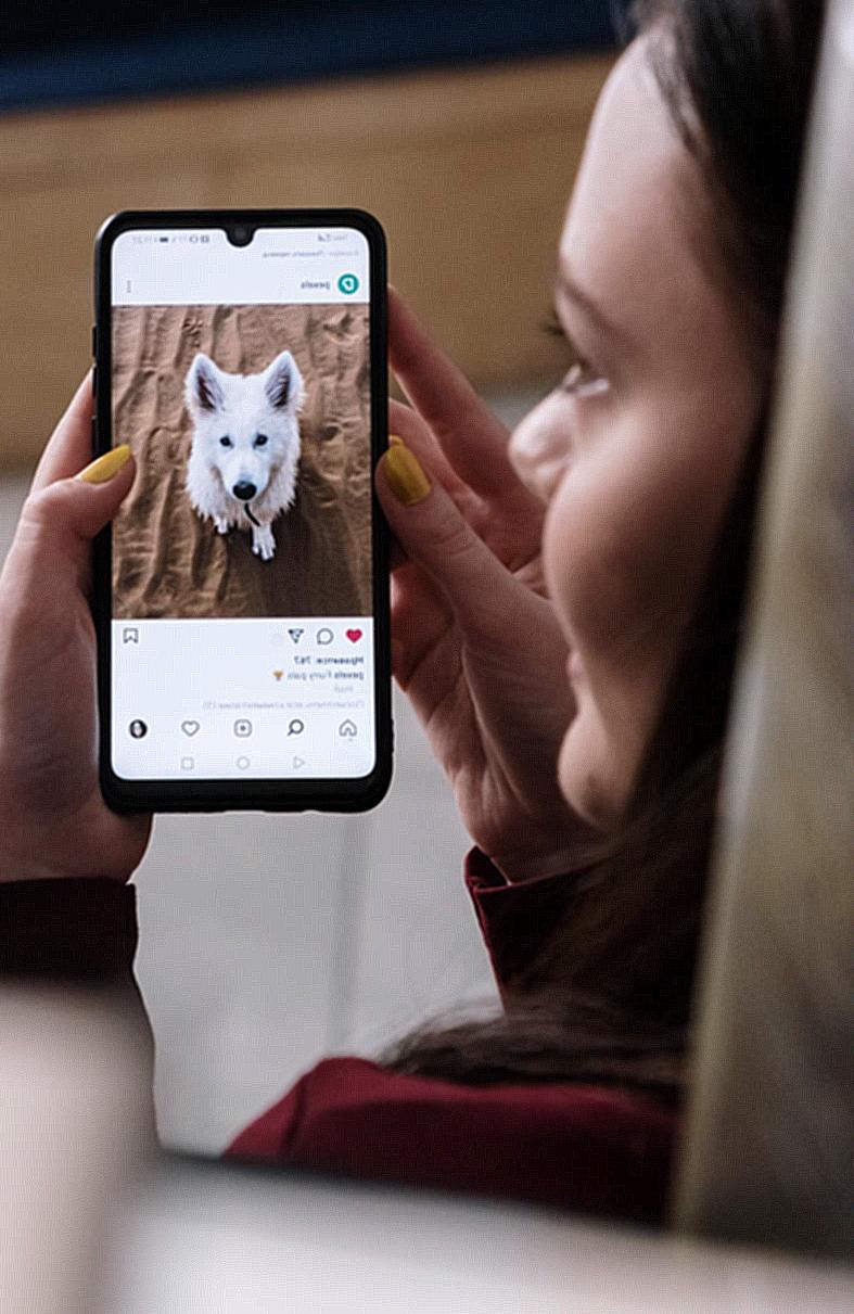 Close-Up Shot of a Woman Looking at a Picture of a Dog