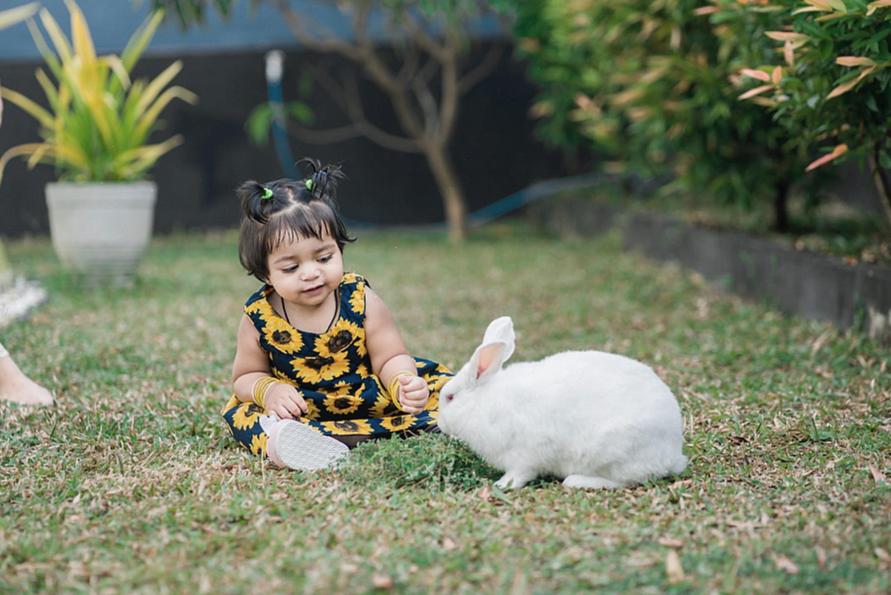 Toddler Playing with a White Rabbit