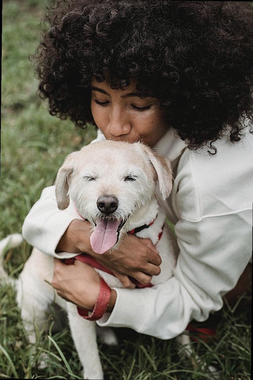 Crop African American female embracing and kissing adorable dog while having stroll on grass