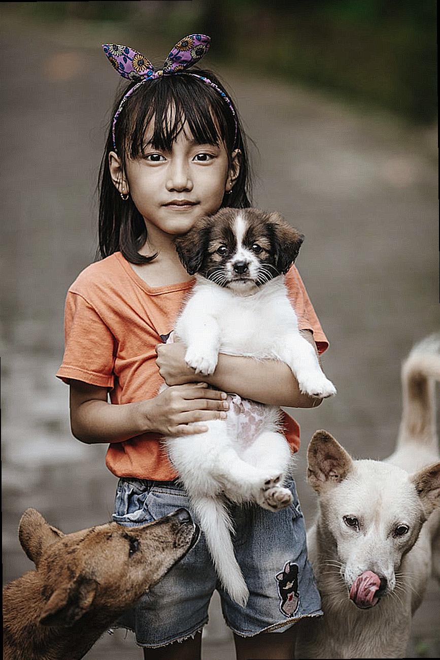 Little Girl Holding a Puppy 