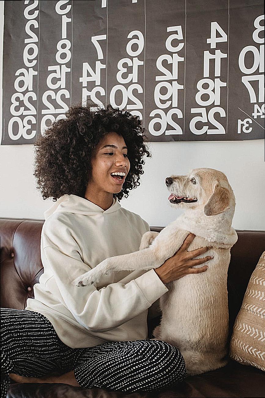 Smiling young black female in casual outfit hugging with dog while sitting on couch in room in daytime