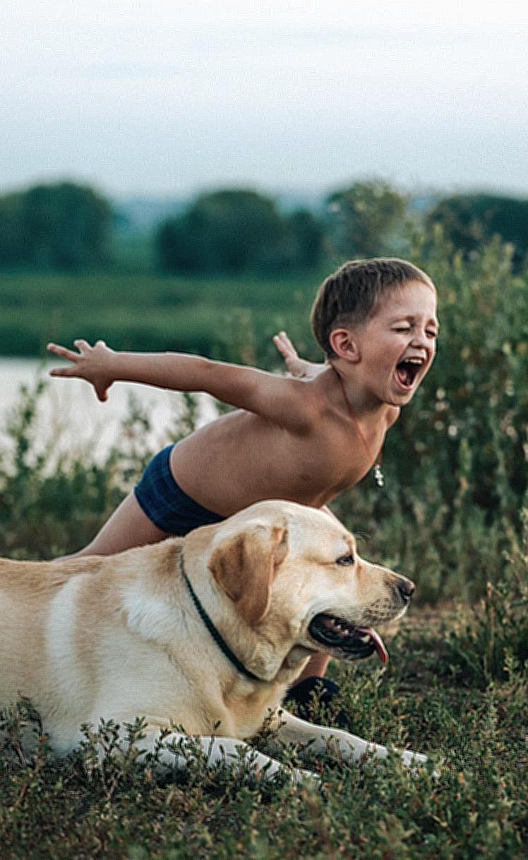 Little Boy Screaming and Labrador Dog Laying Outside