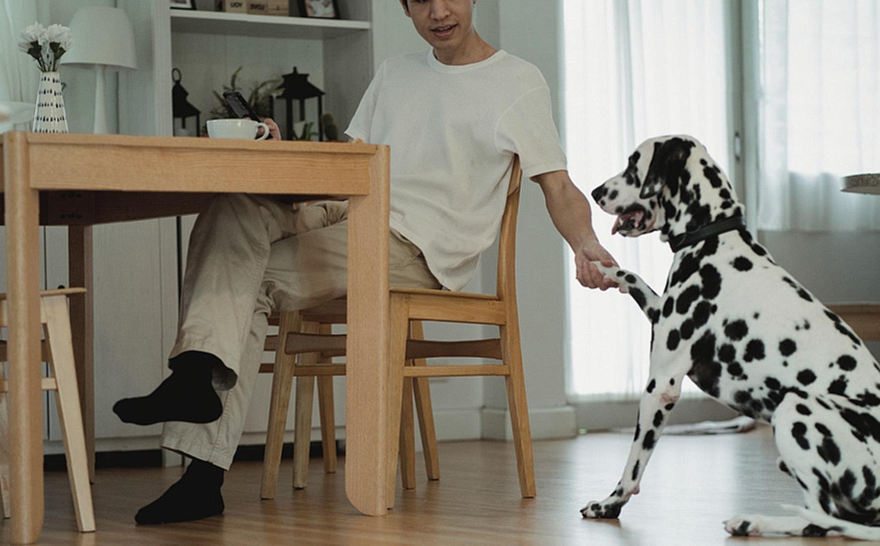 Man and Dog in Room
