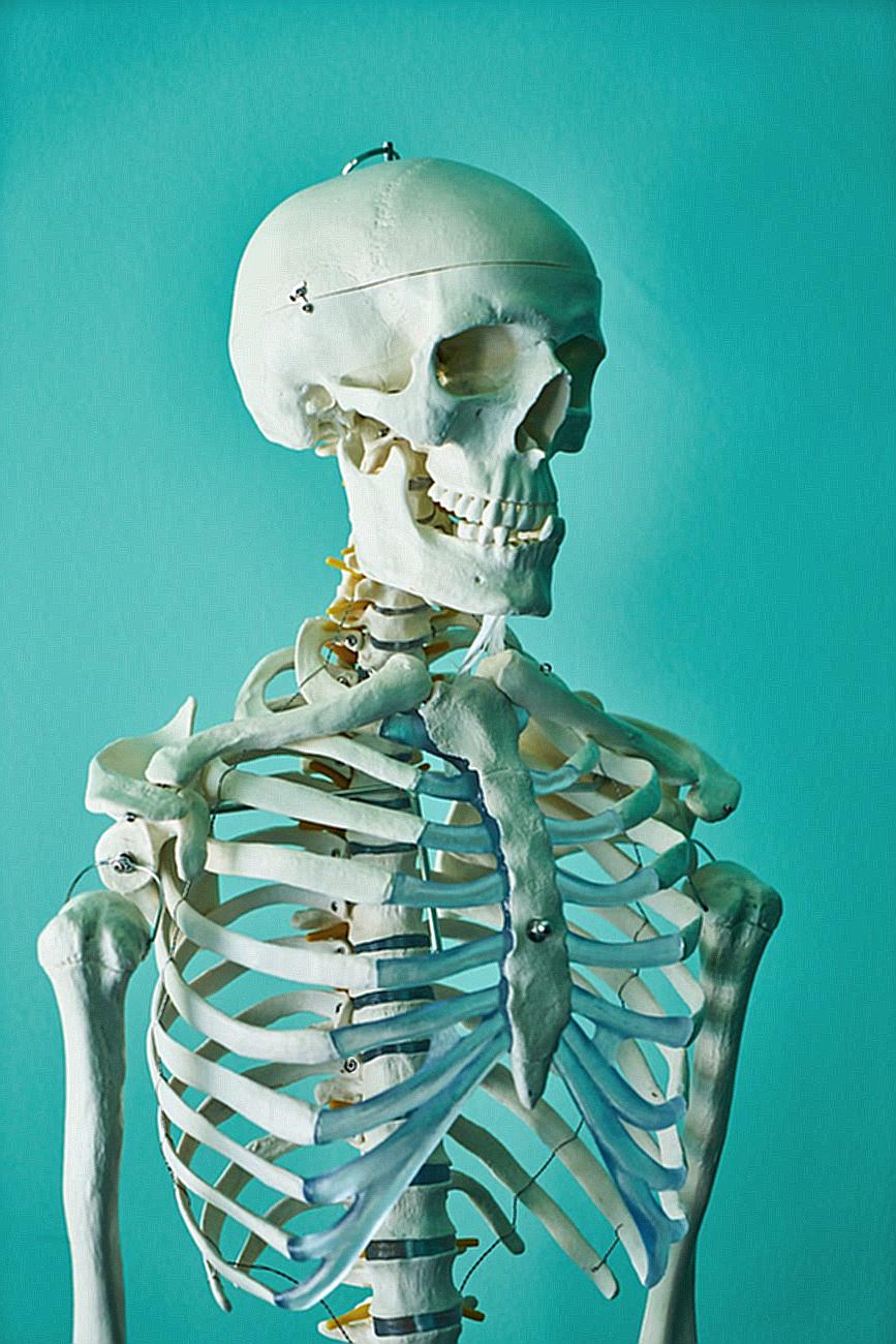 Photo of Skeleton